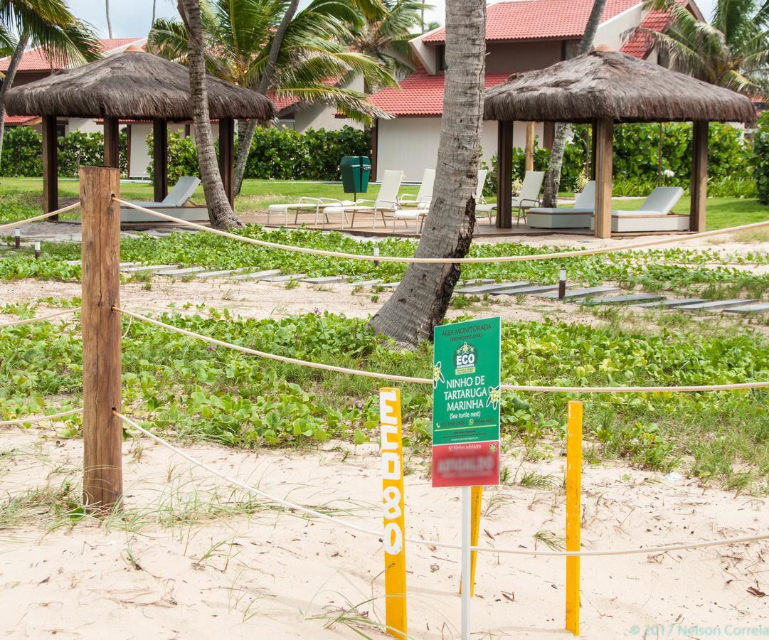 Apto Oka Beach Residence Pôrto das Galinhas 外观 照片